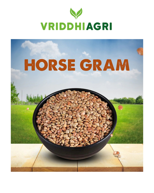 Vriddhi Organic Horse Gram – 500g | Protein & Fiber-Rich Superfood