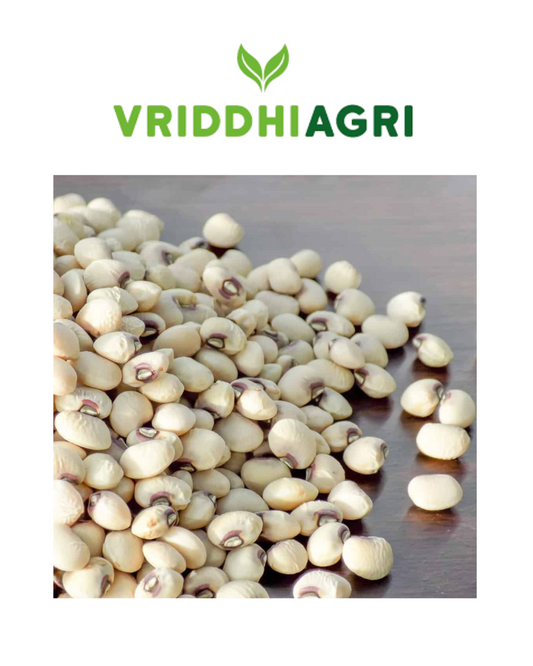 Vriddhi Organic Cowpea White – 500gm | Natural, Unpolished & Protein-Rich Vriddhi