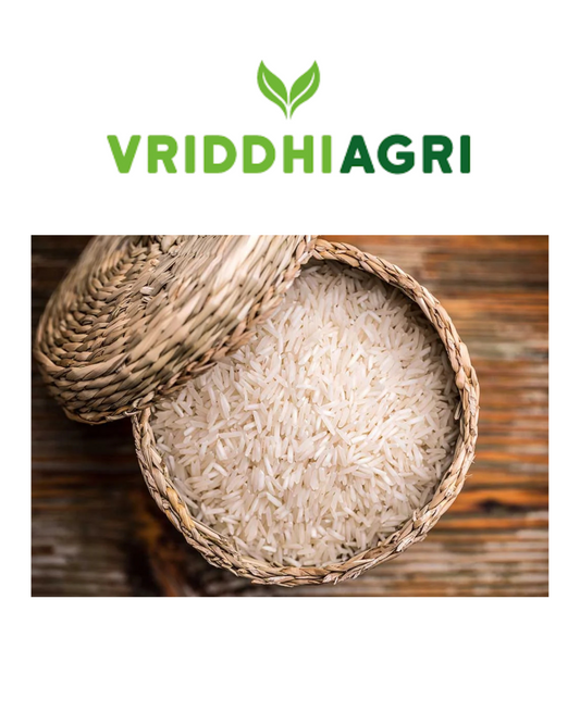 Vriddhi Organic Gandhasala Rice – 1kg | Traditional Aromatic Rice Vriddhi