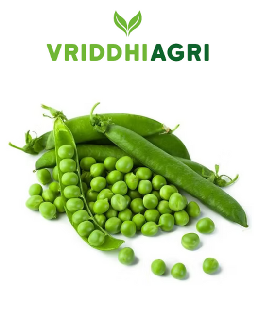 Vriddhi Organic Dried Green Peas – 500g | High-Protein & Nutrient-Rich Vriddhi