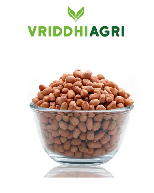 Vriddhi Organic Groundnut 500 gm – Nutrient-Rich & Chemical-Free Vriddhi