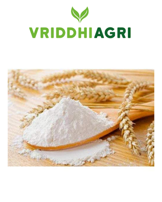 Organic Wheat Maida 500g – Vriddhi by Sutrakart