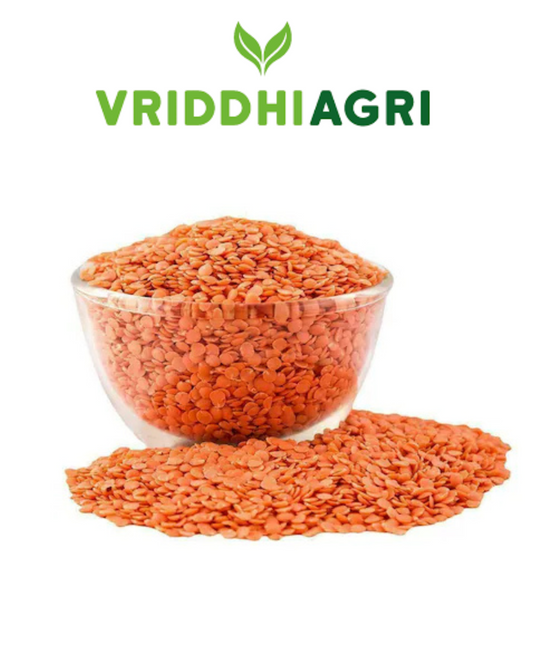 Organic Masoor Dal 500g – Vriddhi by Sutrakart Vriddhi