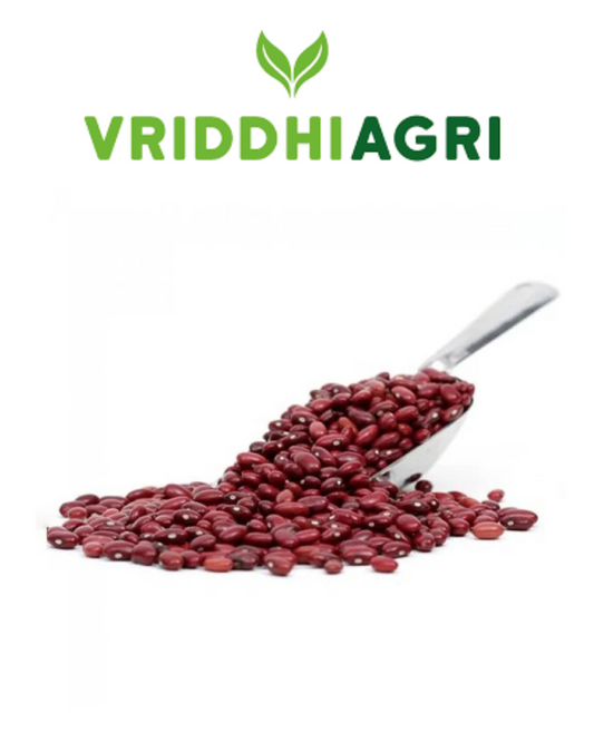 Organic Rajma Red 500gm – Vriddhi by Sutrakart Vriddhi