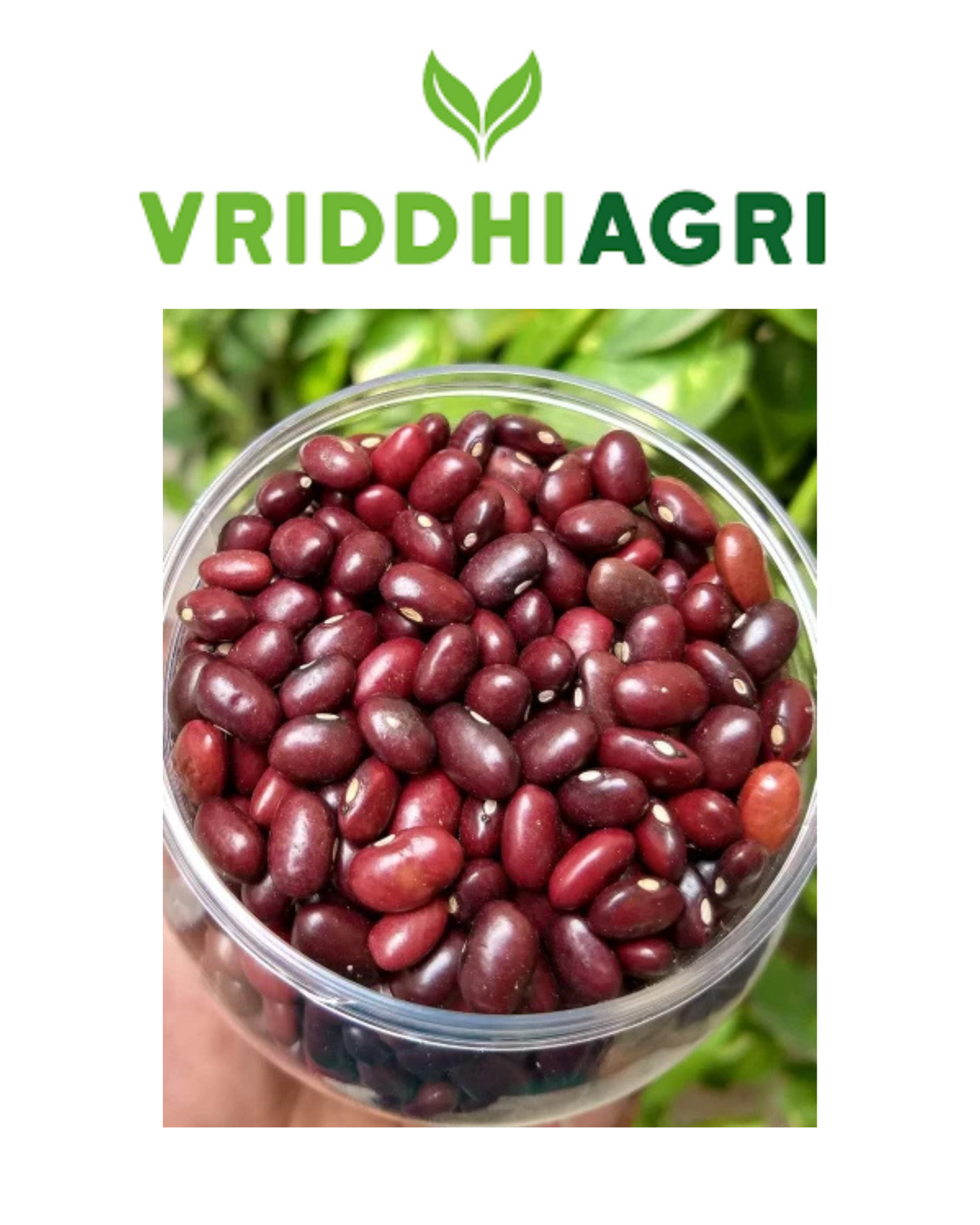 Organic Rajma Red 500gm – Vriddhi by Sutrakart