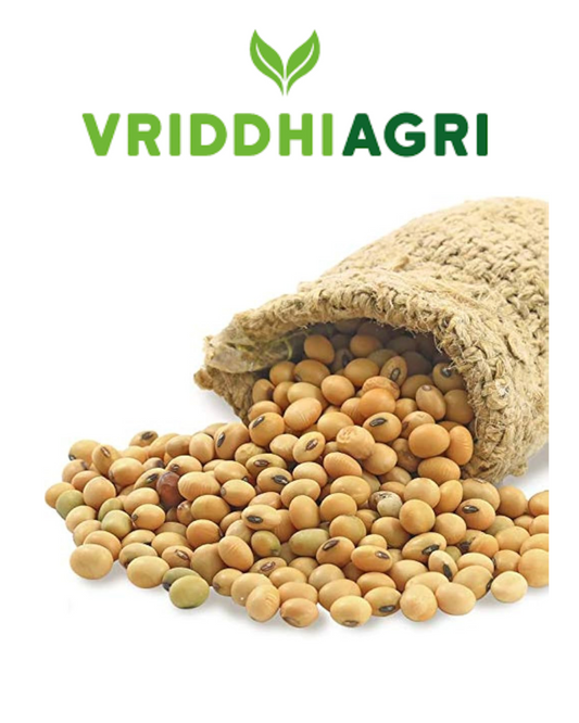 Organic Soyabean Whole 500gm – Vriddhi by Sutrakart Vriddhi