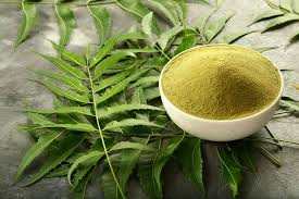 Parijata Herbs Neem Powder in a bowl with neem leaves.